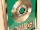 Status Quo, In The Army Now, Single, platin Schallplatte, goldene
