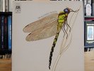 STRAWBS Dragonfly A&M UK 1st Press COMPLETE LP NM