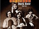 BRAINBOX dark rose - their 45s (1968/70) Reissue Foldout Sleeve 2LP NEU