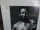 RARE MUDDY WATERS 
