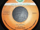 JUNIOR REID Chanting ORIGINAL 1980 JAMAICAN 7