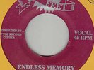 ROY PANTON - ENDLESS MEMORY - EASTERN ORGAN - RARE ??