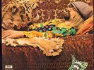 Roy Harper LP Flat Baroque  Berserk UK original 1969 prog rock NM