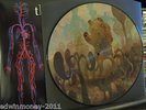 the melvins - Freak Puke LP Picture Disc Dave Cooper /300 nirvana torche tool