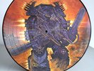 DISMEMBER - Massive Killing Capacity Picture LP (1995)