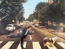 PAUL McCARTNEY Paul Is Live RARE UK Double Live NEW & SEALED