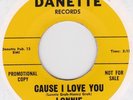 RARE TEEN GROUP Lonnie and his Legends on Danette VG+(+) HEAR