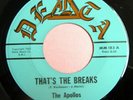 THE APOLLOS 