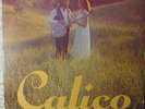 CALICO LP rare private UNKNOWN lonesome rural folk country BOB DYLAN COVER