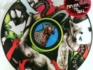 Yeah Yeah Yeahs Ltd Ed Fever to Tell Picture Vinyl
