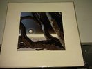COIL Musick to Play in the Dark Vol. 2 2xLP  Art Edition Ltd. 60
