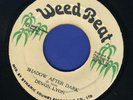 DEVON LYON-SHADOW AFTER DARK-WEED BEAT-1979- REGGAE 45 7