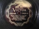 MCKINNEY'S COTTON PICKERS NEVER SWAT A FLY VICTOR 78 RPM JAZZ