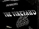 RARE  1968 ACID ARCHIVES = JOE ROSANOVA & THE VINEYARD = ROCK & PSYCH 