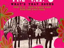 THE V.I.P´S  •  WHAT'S THAT SOUND  •  1967 FRENCH EP FONTANA 460.238   MINT
