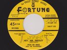 '58 Twin Spin FORTUNE Rockers PETE DE BREE Hey Mr Presley/Long Tall You HEAR NOW