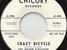 THE HIGHER ELEVATION Crazy Bicycle & The Diamond Mine white lbl dj 7