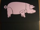 Pink Floyd - Live In Zurich 2/4/77  / Mint-  Limited Edition Double Picture Disc