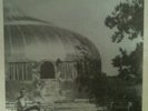 THE MAGNETIC FIELDS-House Of Tomorrow 7