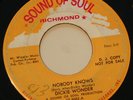 Northern Soul 45 DICKIE WONDER Nobody Knows SOUND OF SOUL rare