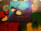 Dead Can Dance Spiritchaser 2LP Rare UK 1996 Original NM- Vinyl Record +sleeves