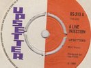 UPSETTERS - THE BLEECHERS -  A LIVE INJECTION   EVERYTHING FOR FUN - UPSETTER