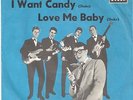 Brian Poole & Tremeloes - I want candy            -45 Upm