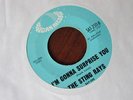 STING RAYS I'm gonna surprise you Lady be good Mod Garage Northern soul 45