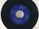 The Keystoners - Sleep & Dream / T.V. Gal 45 rare doo wop on RIFF vocal group