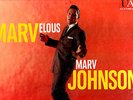 SOUL/R&B.MARVELOUS MARV JOHNSON.RARE ORIG (1ST ISS) U.S.LP.VG/EX