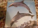 ORANGE JUICE   LP  YOU CANT HIDE YOUR LOVE  FOREVER