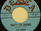 THE APOLLOS 