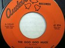 Rare Garage Rock 7