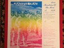 Grateful Dead Mountains of the Moon Vinyl LP Fanclub ylem 1 Big Bang Records LSD