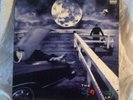 Eminem The Slim Shady lp rap hip hop dr dre my name is 1999 vinyl Still dont