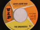UNDERDOGS: Love's Gone Bad (rare rock & pop vinyl 45) co