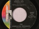 UNRELATED SEGMENTS: Where You Gonna Go / It's Gonna Rain (rare rock & pop 45)
