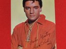 Elvis 