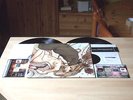 TOUNDRA 2 x LP KYUSS RUSSIAN CIRCLES MASTODON ISIS PELICAN MOGWAI CULT OF LUNA