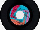 Northern soul The Parliaments