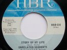 UNRELATED SEGMENTS - STORY OF MY LIFE - ORIGINAL RARE 1960s PSYCH GARAGE - 45rpm