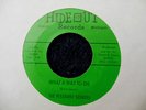 PLEASURE SEEKERS-WHAT A WAY TO DIE,HIDEOUT,LEGENDARY MICHIGAN GARAGE,SUZI QUATRO