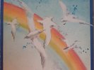 BRAZIL BOSSA SCAT FUSION QUINTAESSENCIA SERRADO CRAVO E CANELA VOCAL POP LISTEN