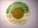 LARRY MARSHALL - SNAKE IN THE GRASS{ORIG. 1965 TUNEICO 7