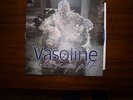 Stone Temple Pilots Vasoline Colored Vinyl Record