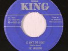 SWALLOWS: Eternally / It Ain't The Meat (rare vocal groups 45)
