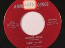 CURLEY MONEY: Gonna Rock (rare rockabilly vinyl 45) sm tol