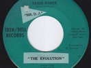 THE EVOLUTION Reach Higher WIDELY UNKNOWN garage 45  psych G45 LISTEN