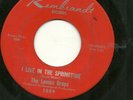 THE LEMON DROPS 45RPM '67 REMBRANDT I LIVE IN THE SPRINGTIME GARAGE VG++ VINYL