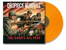 Dropkick Murphys - The Gang's all here LP oranges Vinyl, nur 500 Stück weltweit